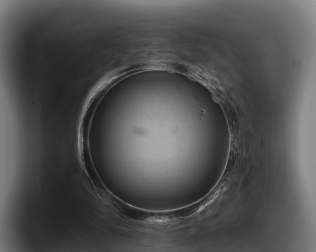 X0000097830294200803201503