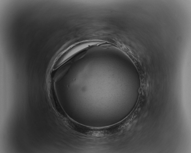 X0000097830295200803201503