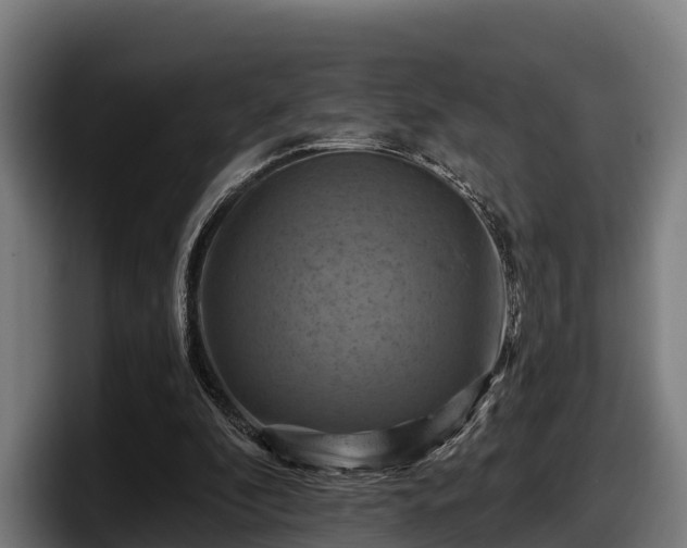 X0000097830296200803201503