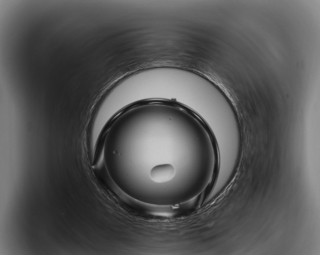 X0000097830297200803201503