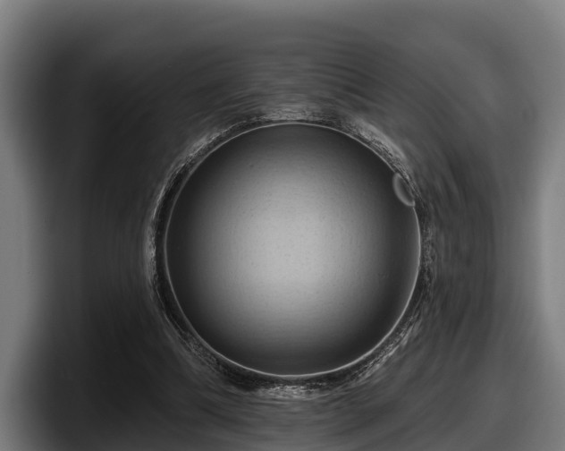 X0000097830298200803201503