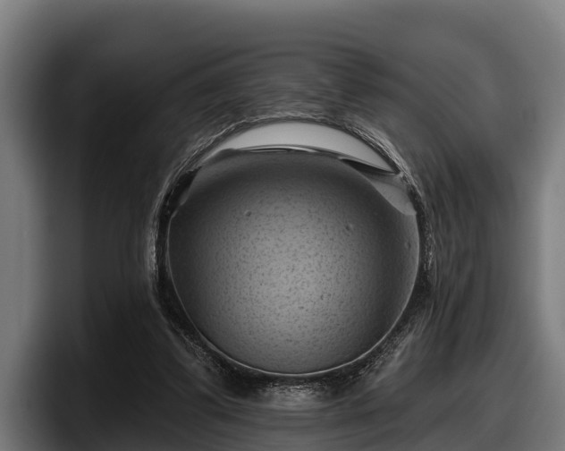 X0000097830299200803201503