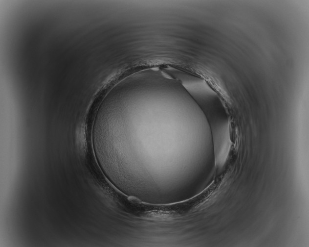 X0000097830300200803201503