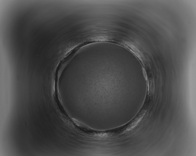 X0000097830301200803201503