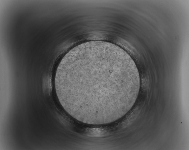 X0000097830302200803201503