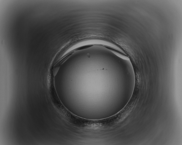 X0000097830304200803201503