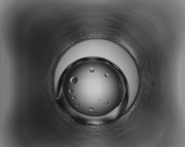 X0000097830305200803201503