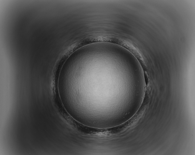 X0000097830306200803201503