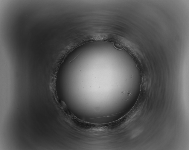 X0000097830307200803201503