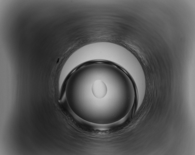 X0000097830308200803201503