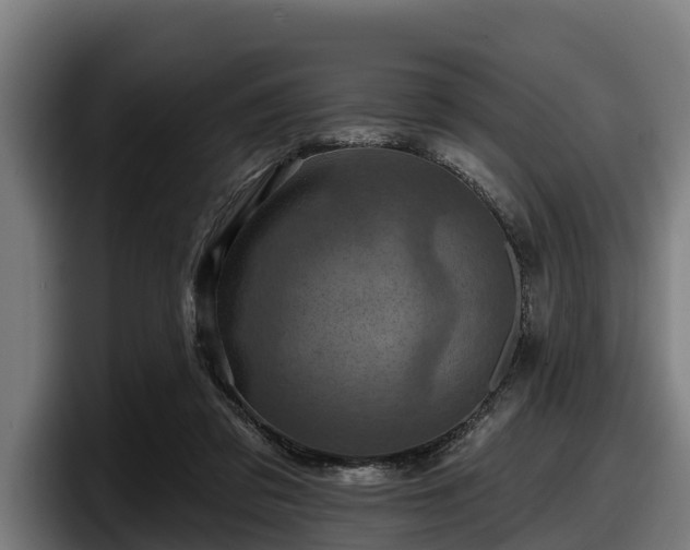 X0000097830309200803201503