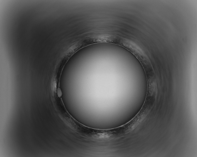 X0000097830310200803201503