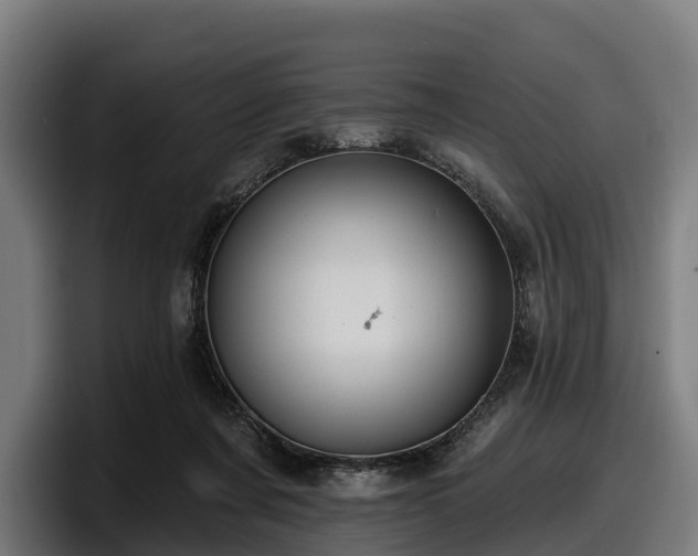 X0000097830311200803201503