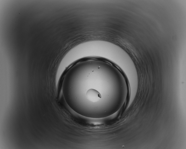 X0000097830312200803201503