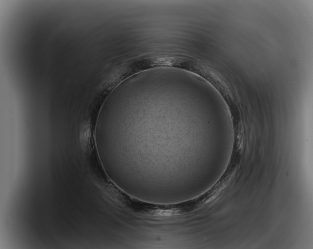 X0000097830314200803201503