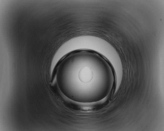 X0000097830316200803201503