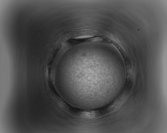 X0000097830317200803201503