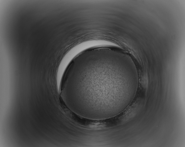 X0000097830319200803201503