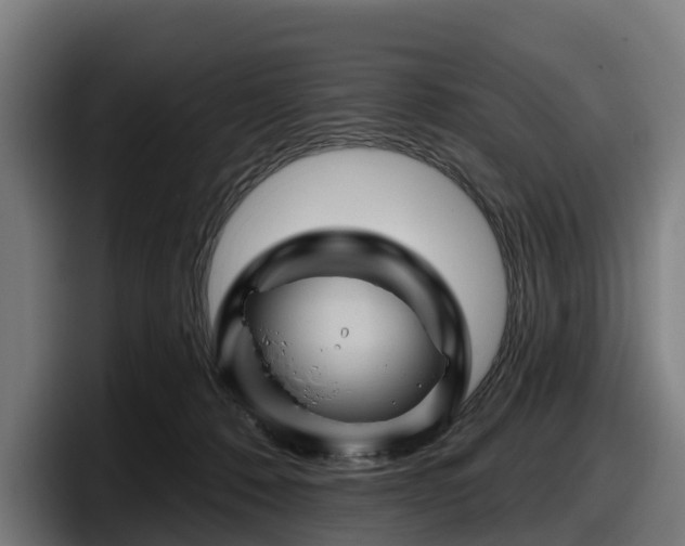 X0000097830320200803201503