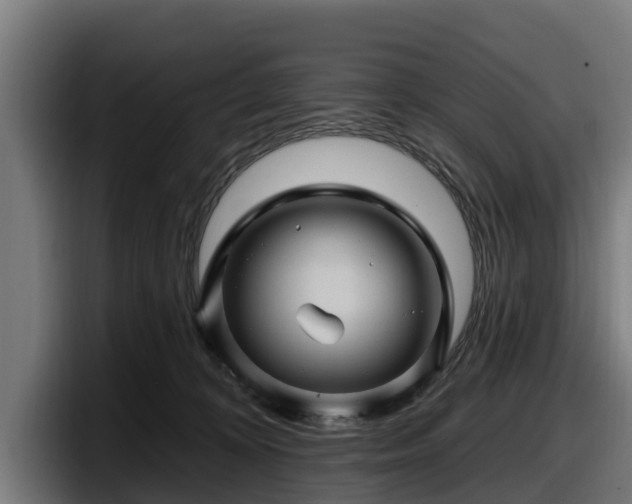 X0000097830324200803201503