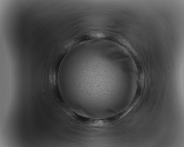 X0000097830330200803201503