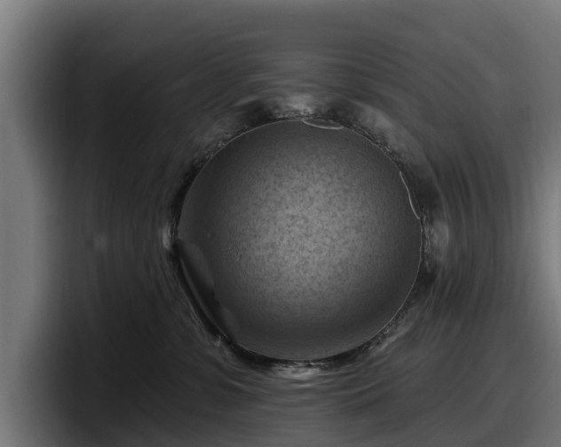 X0000097830331200803201503