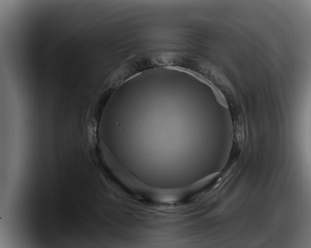 X0000097830332200803201503