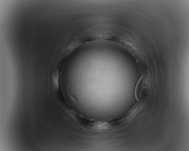 X0000097830334200803201503