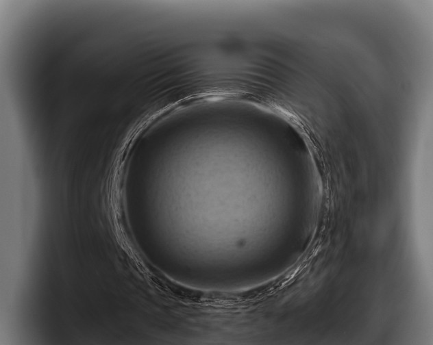 X0000097830337200803201502