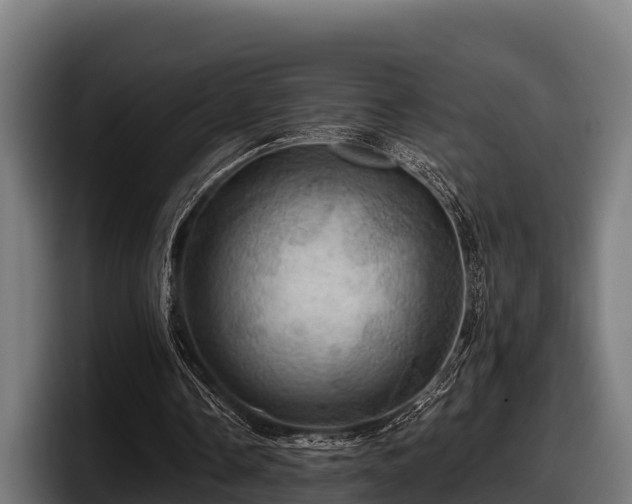 X0000097830338200803201502