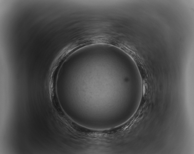 X0000097830339200803201502