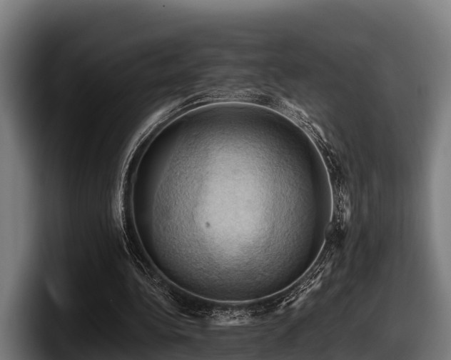 X0000097830340200803201502