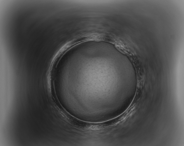 X0000097830341200803201502