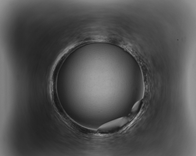 X0000097830342200803201502