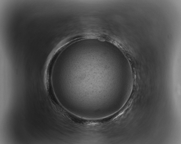 X0000097830343200803201502