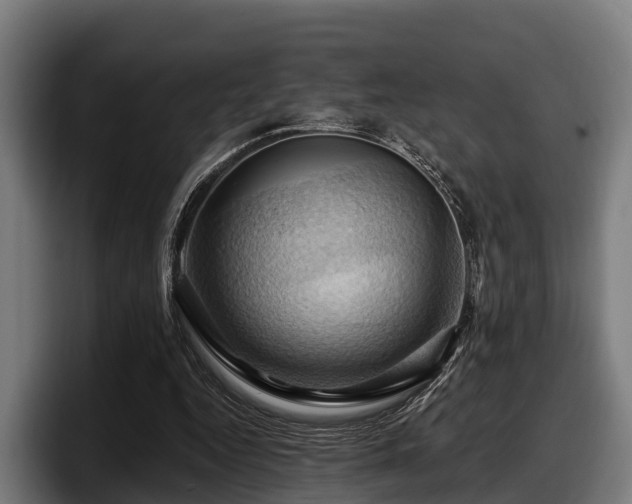 X0000097830344200803201502