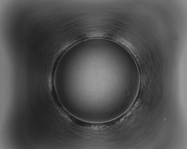 X0000097830345200803201502