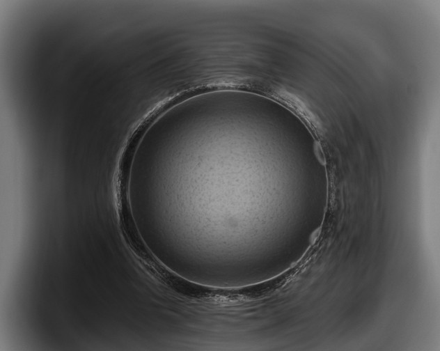 X0000097830346200803201502