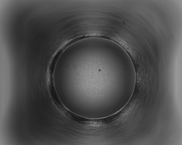 X0000097830347200803201502