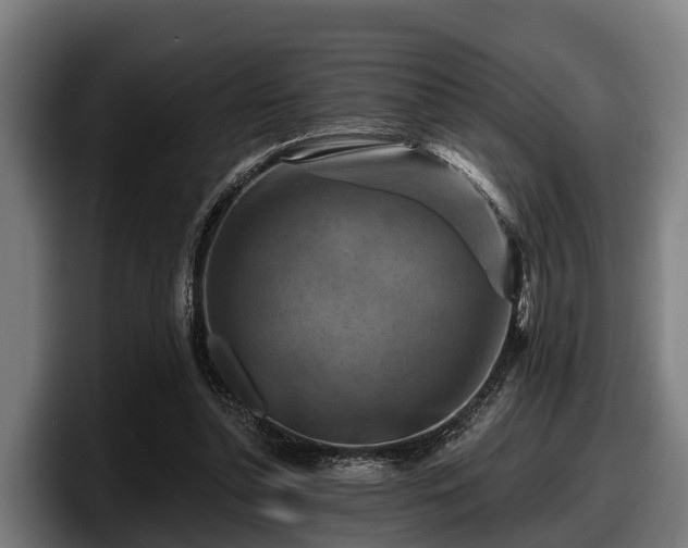 X0000097830348200803201502