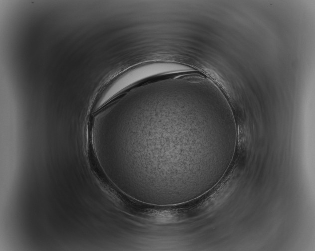 X0000097830349200803201502