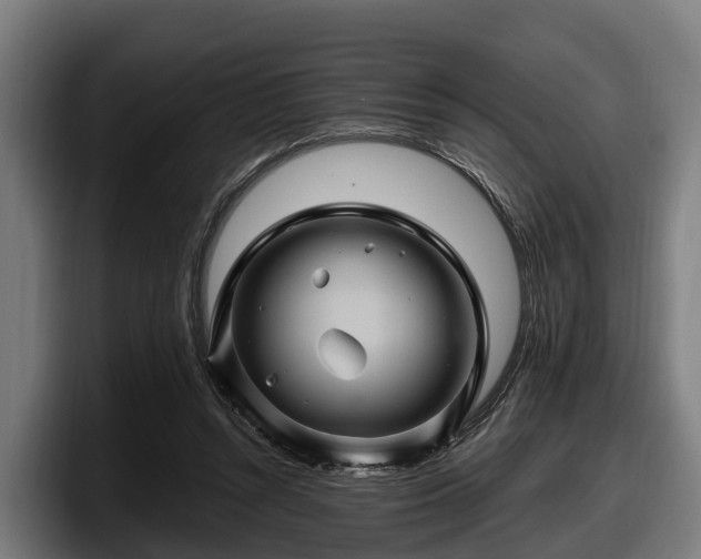 X0000097830352200803201502