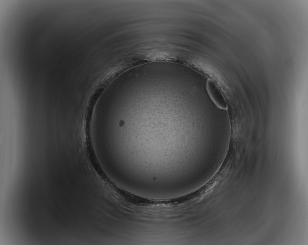 X0000097830353200803201502