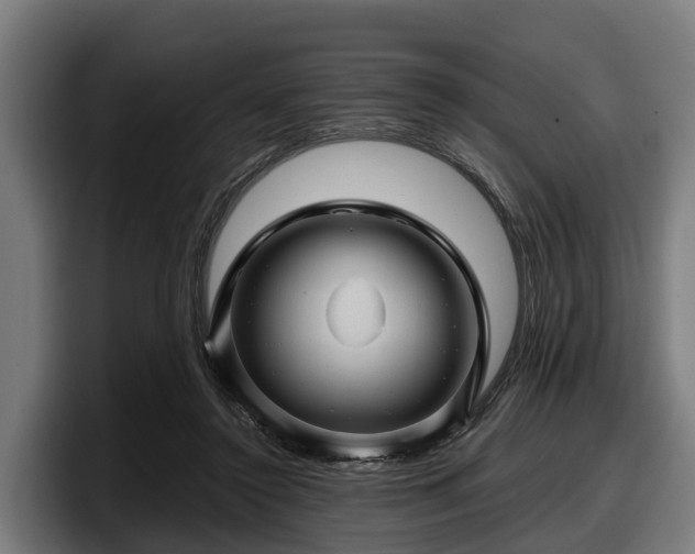 X0000097830356200803201502