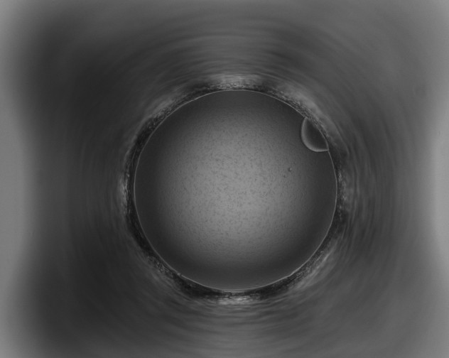 X0000097830357200803201502