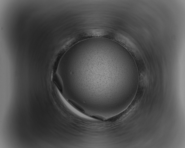 X0000097830358200803201502