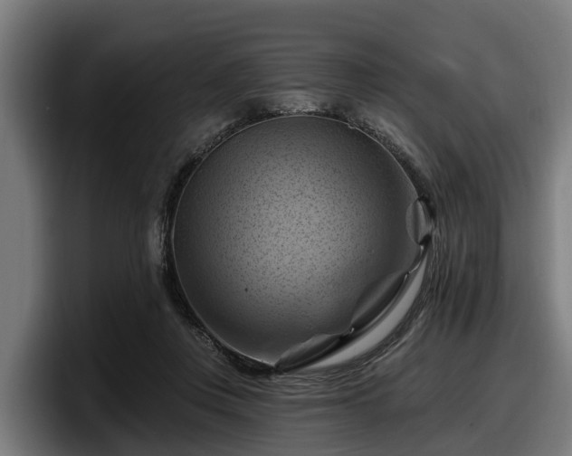 X0000097830359200803201502