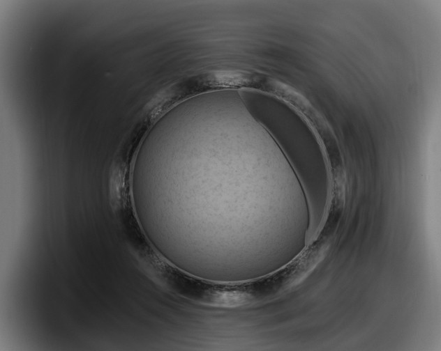 X0000097830360200803201502