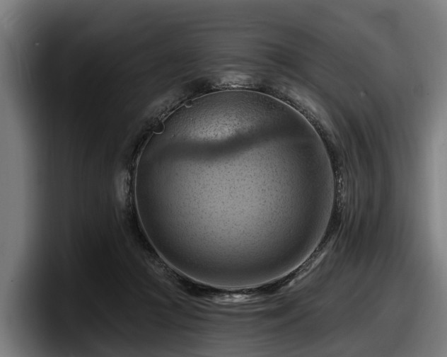 X0000097830361200803201502