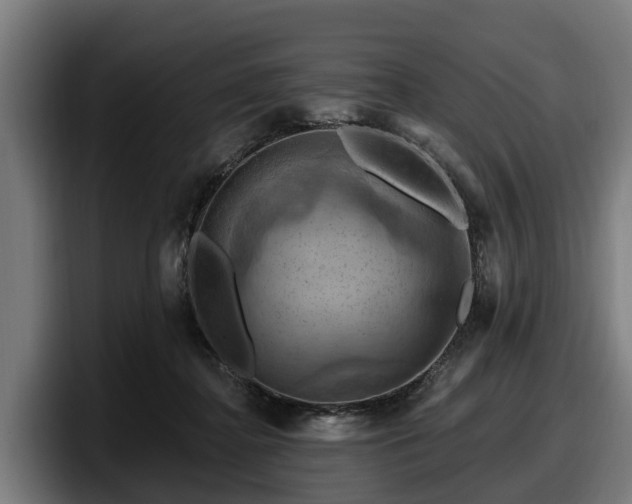 X0000097830364200803201502